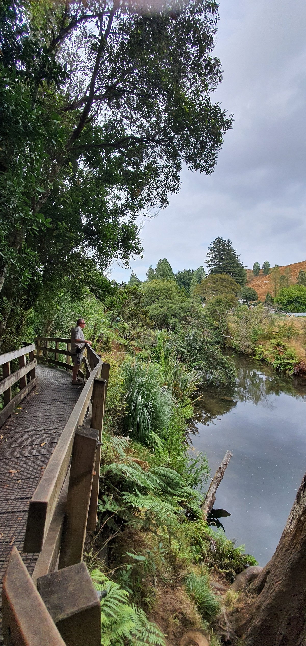 🏞️ 늪 그림자 공원 (누마카게 공원) 이미지 1